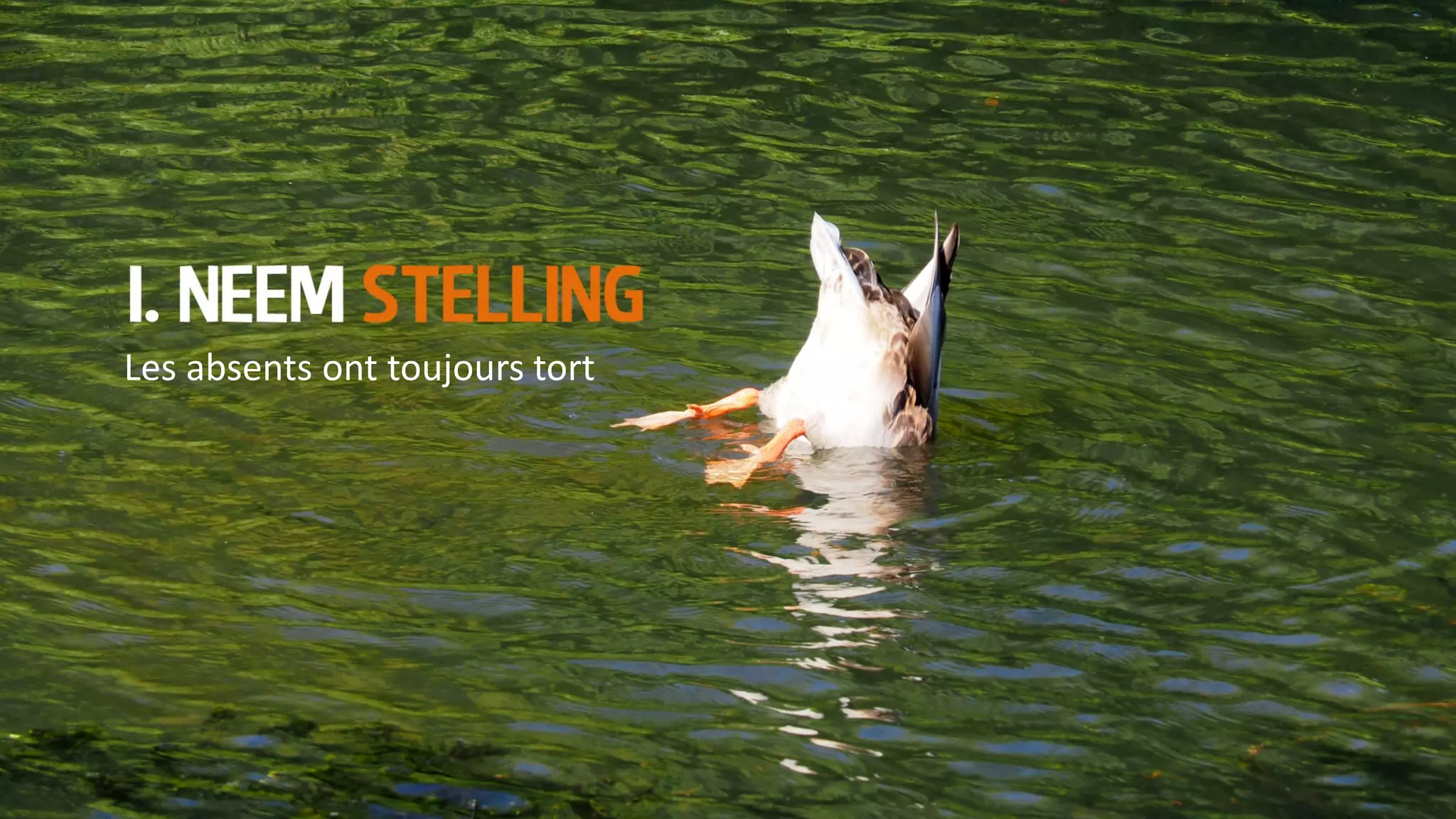 of jouw organisatie
WAT KUN JIJ MORGEN DOEN?
 