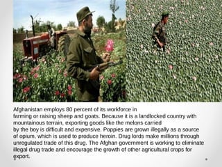 Afghanistan employs 80 percent of its workforce in 
farming or raising sheep and goats. Because it is a landlocked country with 
mountainous terrain, exporting goods like the melons carried 
by the boy is difficult and expensive. Poppies are grown illegally as a source 
of opium, which is used to produce heroin. Drug lords make millions through 
unregulated trade of this drug. The Afghan government is working to eliminate 
illegal drug trade and encourage the growth of other agricultural crops for 
export. 
 