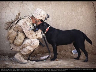 U.S. Marine Cpl. Kyle Click, a 22-year-old improvised explosive device detection dog handler with 3rd Platoon, Kilo Company, 3rd Battalion, 3rd Marine Regiment, shares a
moment with his dog Windy while waiting to resume a security patrol on February 27, 2012. (USMC/Cpl. Reece Lodder)
 