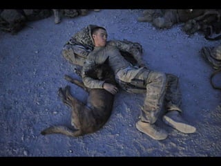 Navy Petty Officer 2nd Class Ryan Lee, master at arms, and Petty Officer 1st Class
Valdo, working dog, sleep on a hospital...
