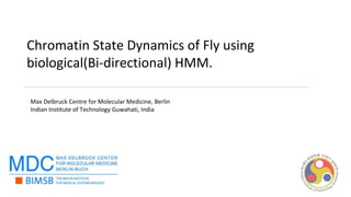 Chromatin State Dynamics of Fly using
biological(Bi-directional) HMM.
Max Delbruck Centre for Molecular Medicine, Berlin
Indian Institute of Technology Guwahati, India
 