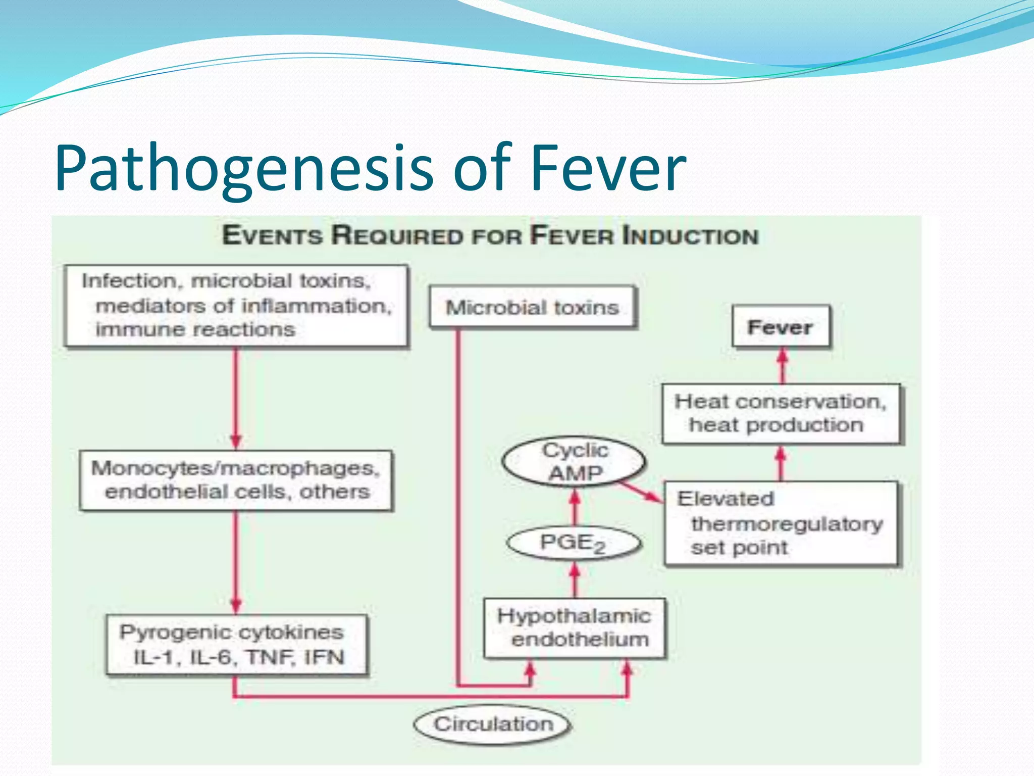 Pathogenesis of Fever
 