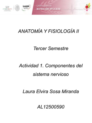 ANATOMÍA Y FISIOLOGÍA II
Tercer Semestre
Actividad 1. Componentes del
sistema nervioso
Laura Elvira Sosa Miranda
AL12500590
 