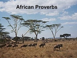 African Proverbs 
