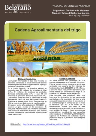 Asignatura: Dinámica de sistemas
Alumno: Edward Guillermo Marcos
Prof. Ing. Agr. Galaburri

Cadena Agroalimentaria del trigo

El trigo en la actualidad
La situación del mercado de trigo local muestra un
panorama complicado, la señal del mercado externo
no se refleja en el domestico y persisten las bajas por
problemas comerciales locales.
En el tramo 2009/2011 la Argentina exportó en
promedio unas 6,0 millones de toneladas de trigo
(84%), 1,1 millones de toneladas de productos
derivados semiprocesados (15%) y unas 90 mil
toneladas de productos derivados procesados (1%).
Convirtiendo todas las cifras a cantidades de trigo
equivalentes. Cerca del 80% del trigo exportado por
Argentina se exportó como grano, mientras que un
20% se exportó con algún grado de transformación.
En relación a diez años atrás (trienio 1999/2001) se
observa un gran avance en la exportación de
productos industrializados, los volúmenes colocados
en el mundo se duplican en el período, pero también
un fuerte retroceso de los volúmenes exportados del
cereal como grano.

Bibliografía:

El trigo en un futuro
Se prevé alcanzar una producción de 22,8
millones de toneladas en la campaña 2019/2020.
Esto se lograría con un crecimiento en el área
sembrada, que pasaría de 3,6 millones de
hectáreas (campaña 2009/2010) a 7,1 millones,
y con una mayor productividad de la tierra, con
rindes medios que crecerían hasta llegar a 3,2
toneladas por hectárea al final del período.
Para concretar esta proyección sería muy
importante la eliminación de las restricciones
cuantitativas a la exportación de trigo y una
adecuación (baja) de derechos de exportación a
un escenario de tipo de cambio real que ya no es
lo favorable que era a la salida de la
convertibilidad. Nótese que tanto el área
sembrada como el volumen de producción son
muy factibles de lograr y hasta proyecciones
conservadoras, considerando que campañas
anteriores (caso de 1996/1997 y 2001/2002) han
superado las 7 millones de hectáreas y que la
producción llegó a 16,3 millones en la campaña
2007/2008.

http://www.ieral.org/images_db/noticias_archivos/1900.pdf

 