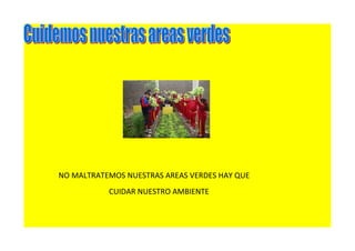 NO MALTRATEMOS NUESTRAS AREAS VERDES HAY QUE 
CUIDAR NUESTRO AMBIENTE 
