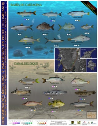 Afiche peces mercurio_parasitos
