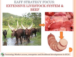 EAFF STRATEGY FOCUS:
  EXTENSIVE LIVESTOCK SYSTEM &
              BEEF




                                               ...