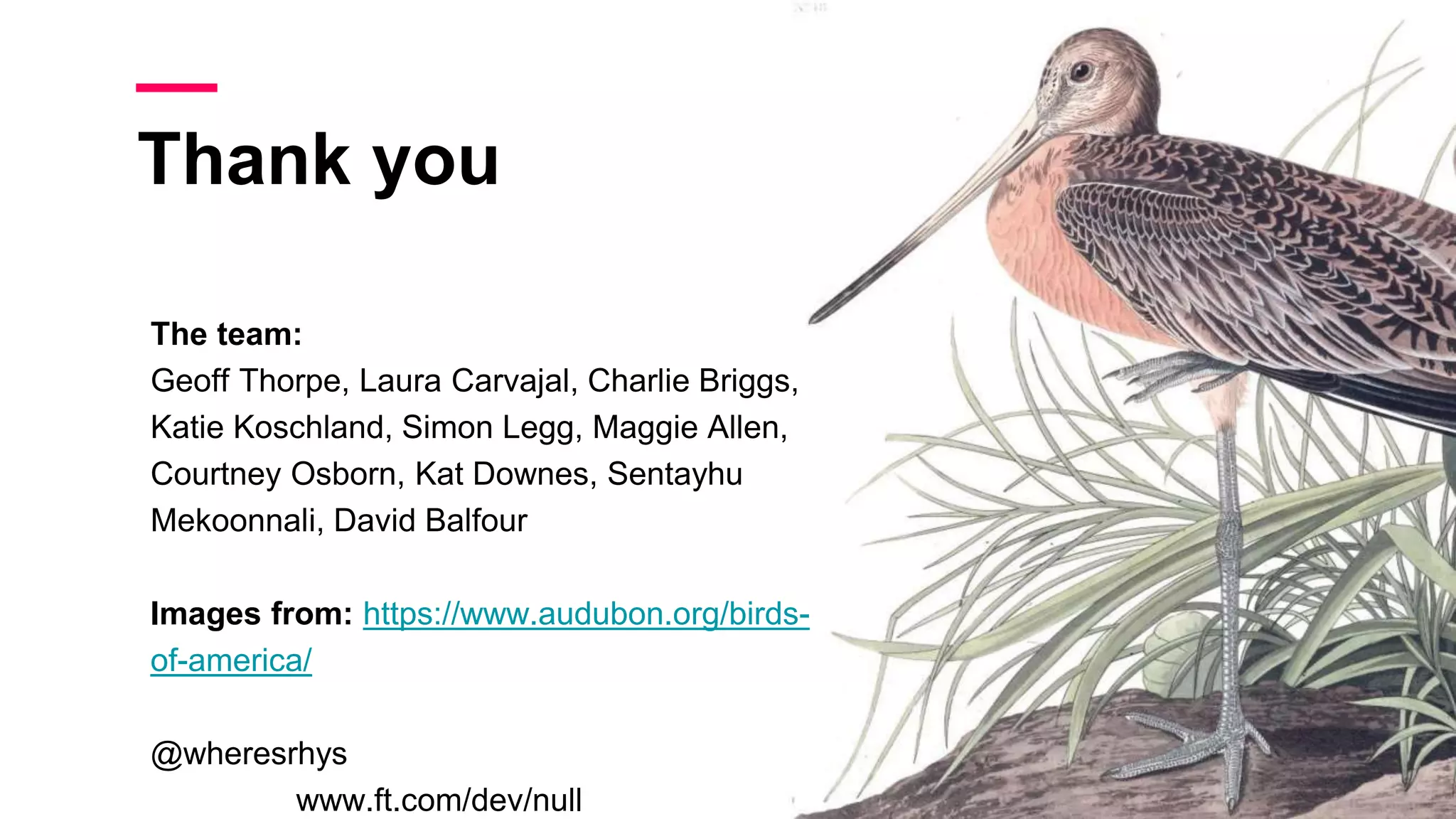 Thank you
The team:
Geoff Thorpe, Laura Carvajal, Charlie Briggs,
Katie Koschland, Simon Legg, Maggie Allen,
Courtney Osborn, Kat Downes, Sentayhu
Mekoonnali, David Balfour
Images from: https://www.audubon.org/birds-
of-america/
@wheresrhys
www.ft.com/dev/null
 