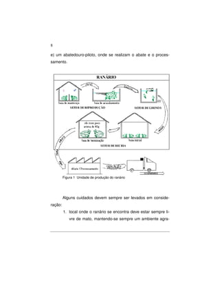 8 
e) um abatedouro-piloto, onde se realizam o abate e o proces-samento. 
Figura 1 Unidade de produção do ranário 
Alguns cuidados devem sempre ser levados em conside-ração: 
1. local onde o ranário se encontra deve estar sempre li-vre 
de mato, mantendo-se sempre um ambiente agra- 
 