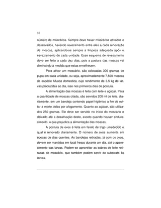 10 
número de moscários. Sempre deve haver moscários ativados e 
desativados, havendo revezamento entre eles a cada renovação 
de moscas, aplicando-se sempre a limpeza adequada após o 
esvaziamento de cada unidade. Esse esquema de revezamento 
deve ser feito a cada dez dias, pois a postura das moscas vai 
diminuindo à medida que estas envelhecem. 
Para ativar um moscário, são colocadas 300 gramas de 
pupa em cada unidade, ou seja, aproximadamente 7.500 moscas 
da espécie Musca domestica, cujo rendimento de 3,5 kg de lar-vas 
produzidas ao dia, isso nos primeiros dias de postura. 
A alimentação das moscas é feita com leite e açúcar. Para 
a quantidade de moscas citada, são servidos 200 ml de leite, dia-riamente, 
em um bandeja contendo papel higiênico a fim de evi-tar 
a morte delas por afogamento. Quanto ao açúcar, são utiliza-dos 
250 gramas. Ele deve ser servido no início do moscário e 
deixado até a desativação deste, exceto quando houver endure-cimento, 
o que prejudica a alimentação das moscas. 
A postura de ovos é feita em farelo de trigo umedecido o 
qual é renovado diariamente. O número de ovos aumenta em 
épocas de dias quentes. As bandejas retiradas, já com os ovos, 
devem ser mantidas em local fresco durante um dia, até o apare-cimento 
das larvas. Podem-se aproveitar as sobras de leite reti-radas 
do moscário, que também podem servir de substrato às 
larvas. 
 