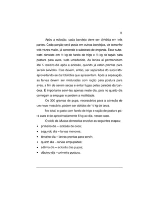 11 
Após a eclosão, cada bandeja deve ser dividida em três 
partes. Cada porção será posta em outras bandejas, de tamanho 
três vezes maior, já contendo o substrato de engorda. Esse subs-trato 
consiste em ½ kg de farelo de trigo e ½ kg de ração para 
postura para aves, tudo umedecido. As larvas aí permanecem 
até o terceiro dia após a eclosão, quando já estão prontas para 
serem servidas. Elas devem, então, ser separadas do substrato, 
aproveitando-se da fotofobia que apresentam. Após a separação, 
as larvas devem ser misturadas com ração para postura para 
aves, a fim de serem secas e evitar fugas pelas paredes da ban-deja. 
É importante servi-las apenas neste dia, pois no quarto dia 
começam a empupar e perdem a motilidade. 
Os 300 gramas de pupa, necessários para a ativação de 
um novo moscário, podem ser obtidos de ½ kg de larva. 
No total, o gasto com farelo de trigo e ração de postura pa-ra 
aves é de aproximadamente 6 kg ao dia, nesse caso. 
O ciclo da Musca domestica envolve as seguintes etapas: 
· primeiro dia – eclosão de ovos; 
· segundo dia – larvas menores; 
· terceiro dia – larvas prontas para servir; 
· quarto dia – larvas empupadas; 
· sétimo dia – eclosão das pupas; 
· décimo dia – primeira postura. 
 