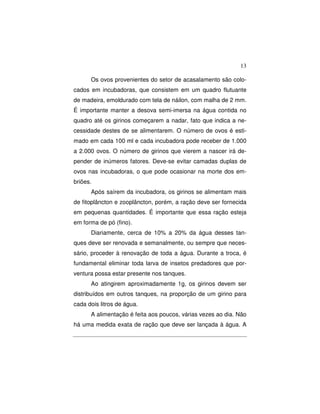 13 
Os ovos provenientes do setor de acasalamento são colo-cados 
em incubadoras, que consistem em um quadro flutuante 
de madeira, emoldurado com tela de náilon, com malha de 2 mm. 
É importante manter a desova semi-imersa na água contida no 
quadro até os girinos começarem a nadar, fato que indica a ne-cessidade 
destes de se alimentarem. O número de ovos é esti-mado 
em cada 100 ml e cada incubadora pode receber de 1.000 
a 2.000 ovos. O número de girinos que vierem a nascer irá de-pender 
de inúmeros fatores. Deve-se evitar camadas duplas de 
ovos nas incubadoras, o que pode ocasionar na morte dos em-briões. 
Após saírem da incubadora, os girinos se alimentam mais 
de fitoplâncton e zooplâncton, porém, a ração deve ser fornecida 
em pequenas quantidades. É importante que essa ração esteja 
em forma de pó (fino). 
Diariamente, cerca de 10% a 20% da água desses tan-ques 
deve ser renovada e semanalmente, ou sempre que neces-sário, 
proceder à renovação de toda a água. Durante a troca, é 
fundamental eliminar toda larva de insetos predadores que por-ventura 
possa estar presente nos tanques. 
Ao atingirem aproximadamente 1g, os girinos devem ser 
distribuídos em outros tanques, na proporção de um girino para 
cada dois litros de água. 
A alimentação é feita aos poucos, várias vezes ao dia. Não 
há uma medida exata de ração que deve ser lançada à água. A 
 