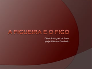 Cleber Rodrigues de Paula Igreja Bíblica da Confissão A figueira e o figo  
