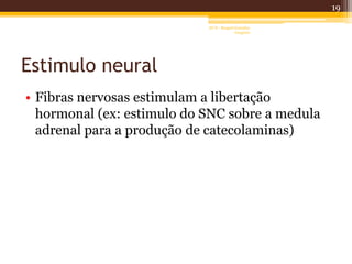 Estimulo neural
• Fibras nervosas estimulam a libertação
hormonal (ex: estimulo do SNC sobre a medula
adrenal para a produção de catecolaminas)
19
AF II - Raquel González
Gregório
 