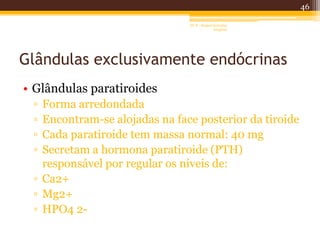 Glândulas exclusivamente endócrinas
• Glândulas paratiroides
▫ Forma arredondada
▫ Encontram-se alojadas na face posterior da tiroide
▫ Cada paratiroide tem massa normal: 40 mg
▫ Secretam a hormona paratiroide (PTH)
responsável por regular os níveis de:
▫ Ca2+
▫ Mg2+
▫ HPO4 2-
46
AF II - Raquel González
Gregório
 
