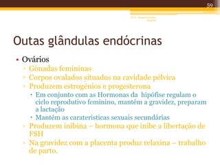 Outas glândulas endócrinas
• Ovários
▫ Gónadas femininas
▫ Corpos ovalados situados na cavidade pélvica
▫ Produzem estrogénios e progesterona
 Em conjunto com as Hormonas da hipófise regulam o
ciclo reprodutivo feminino, mantém a gravidez, preparam
a lactação
 Mantém as carateristicas sexuais secundárias
▫ Produzem inibina – hormona que inibe a libertação de
FSH
▫ Na gravidez com a placenta produz relaxina – trabalho
de parto.
59
AF II - Raquel González
Gregório
 