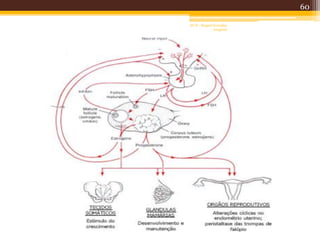 60
AF II - Raquel González
Gregório
 