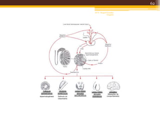 62
AF II - Raquel González
Gregório
 