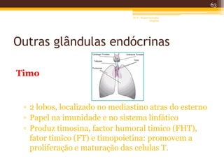 Outras glândulas endócrinas
Timo
▫ 2 lobos, localizado no mediastino atras do esterno
▫ Papel na imunidade e no sistema linfático
▫ Produz timosina, factor humoral timico (FHT),
fator timico (FT) e timopoietina: promovem a
proliferação e maturação das celulas T.
63
AF II - Raquel González
Gregório
 