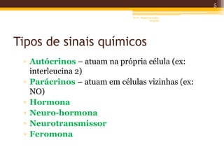 Tipos de sinais químicos
▫ Autócrinos – atuam na própria célula (ex:
interleucina 2)
▫ Parácrinos – atuam em células vizinhas (ex:
NO)
▫ Hormona
▫ Neuro-hormona
▫ Neurotransmissor
▫ Feromona
5
AF II - Raquel González
Gregório
 