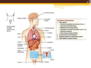 9
AF II - Raquel González
Gregório
 