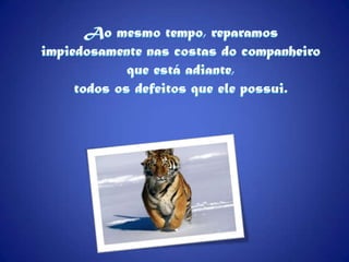 Ao mesmo tempo, reparamos impiedosamente nas costas do companheiro que está adiante, todos os defeitos que ele possui.
