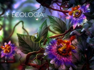 + ECOLOGIA
 