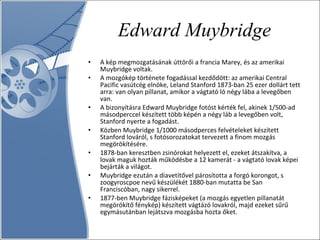 Edward Muybridge A kép megmozgatásának úttörői a francia Marey, és az amerikai Muybridge voltak.   A mozgókép története fogadással kezdődött: az amerikai Central Pacific vasútcég elnöke, Leland Stanford 1873-ban 25 ezer dollárt tett arra: van olyan pillanat, amikor a vágtató ló négy lába a levegőben van.  A bizonyításra Edward Muybridge fotóst kérték fel, akinek 1/500-ad másodperccel készített több képén a négy láb a levegőben volt, Stanford nyerte a fogadást.  Közben Muybridge 1/1000 másodperces felvételeket készített Stanford lováról, s fotósorozatokat tervezett a finom mozgás megörökítésére.  1878-ban keresztben zsinórokat helyezett el, ezeket átszakítva, a lovak maguk hozták működésbe a 12 kamerát - a vágtató lovak képei bejárták a világot.  Muybridge ezután a diavetítővel párosította a forgó korongot, s zoogyroscpoe nevű készülékét 1880-ban mutatta be San Franciscóban, nagy sikerrel. 1877-ben Muybridge fázisképeket (a mozgás egyetlen pillanatát megörökítő fénykép) készített vágtázó lovakról, majd ezeket sűrű egymásutánban lejátszva mozgásba hozta őket.  