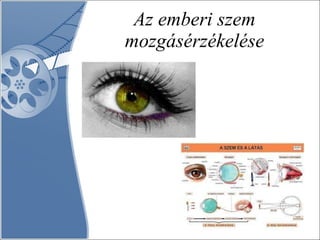 Az emberi szem mozgásérzékelése 