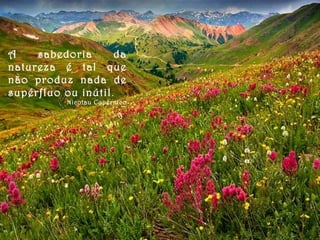 A sabedoria da natureza é tal que não produz nada de supérfluo ou inútil . Nicolau Copérnico 