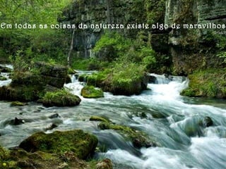 Em todas as coisas da natureza existe algo de maravilhoso. Aristóteles 