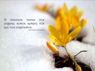 A natureza nunca nos engana; somos sempre nós que nos enganamos. Jean Jacques Rousseau 