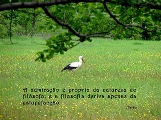 A admiração é própria da natureza do filósofo; e a filosofia deriva apenas da estupefacção. Platão 