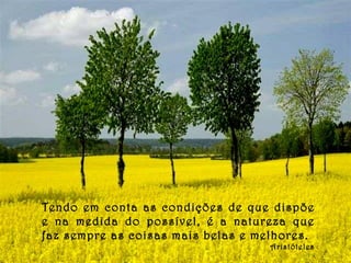Tendo em conta as condições de que dispõe e na medida do possível, é a natureza que faz sempre as coisas mais belas e melhores. Aristóteles 