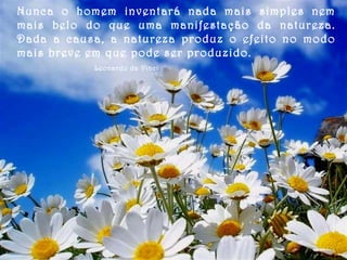 Nunca o homem inventará nada mais simples nem mais belo do que uma manifestação da natureza. Dada a causa, a natureza produz o efeito no modo mais breve em que pode ser produzido.  Leonardo da Vinci 
