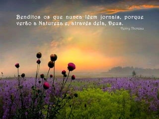 Benditos os que nunca lêem jornais, porque verão a Natureza e, através dela, Deus. Henry Thoreau 