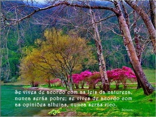 Se vives de acordo com as leis da natureza, nunca serás pobre; se vives de acordo com as opiniões alheias, nunca serás rico. Séneca 