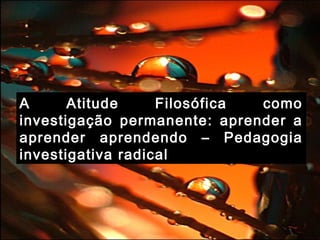 A Atitude Filosófica como
investigação permanente: aprender a
aprender aprendendo – Pedagogia
investigativa radical
 