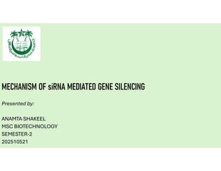 Mechanism of siRNA Mediated Gene Silencing | PDF
