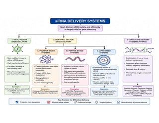 Mechanism of siRNA Mediated Gene Silencing | PDF