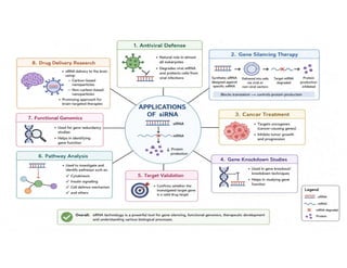 Mechanism of siRNA Mediated Gene Silencing | PDF