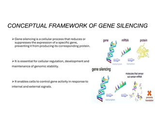 Mechanism of siRNA Mediated Gene Silencing | PDF