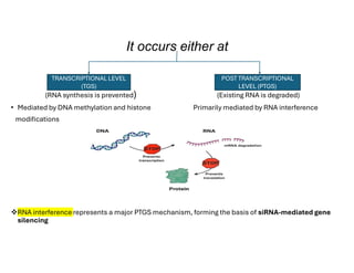 Mechanism of siRNA Mediated Gene Silencing | PDF