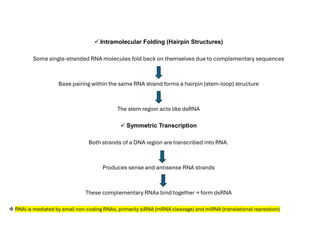 Mechanism of siRNA Mediated Gene Silencing | PDF