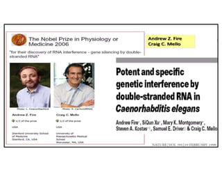 Mechanism of siRNA Mediated Gene Silencing | PDF