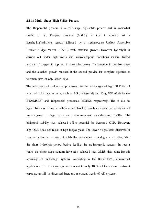 youth peace ambassador essay