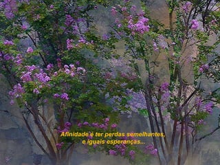 Afinidade é ter perdas semelhantes, e iguais esperanças... 