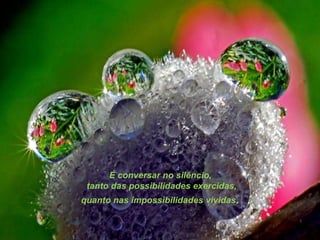 É conversar no silêncio, tanto das possibilidades exercidas, quanto nas impossibilidades vividas . 
