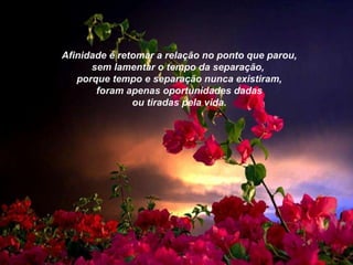 Afinidade é retomar a relação no ponto que parou, sem lamentar o tempo da separação,  porque tempo e separação nunca existiram, foram apenas oportunidades dadas  ou tiradas pela vida. 